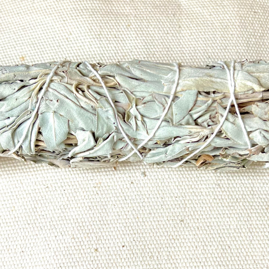 Bâtonnet de Sauge Blanche de Californie – Purification et Protection 🌿✨ (200 mm)