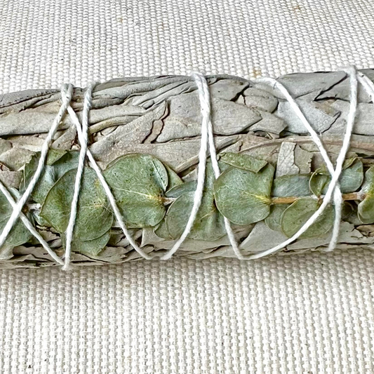 Bâtonnet de Sauge et Eucalyptus de Californie